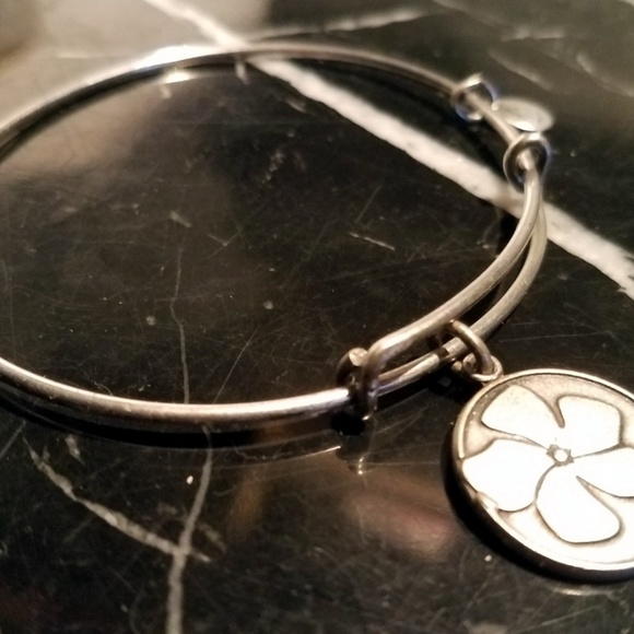 Alex And Ani Friend Charm Bangle Bracelet Russian - Picture 3 of 8